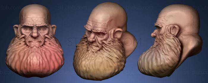 3D model Dwarf head (STL)